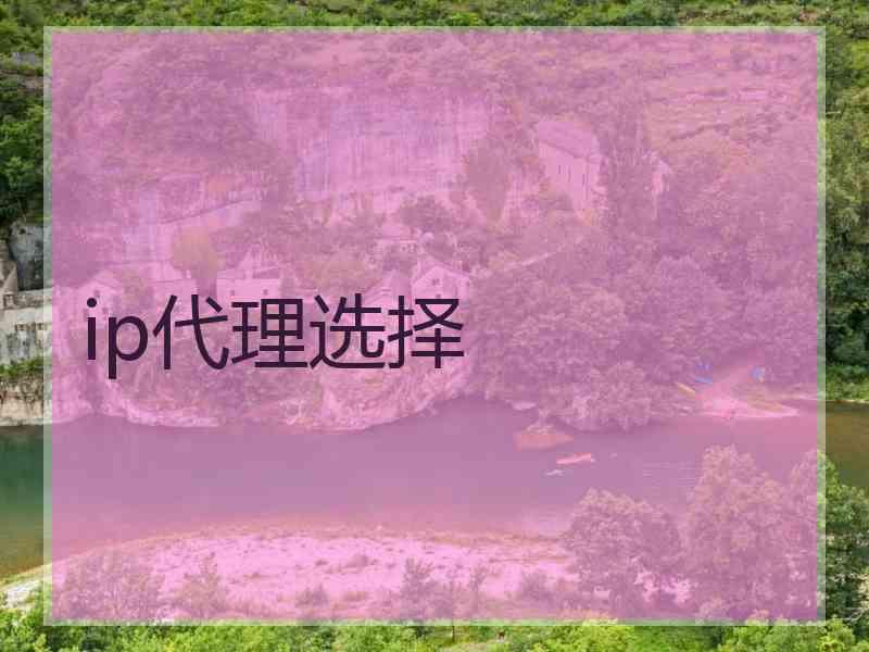 ip代理选择