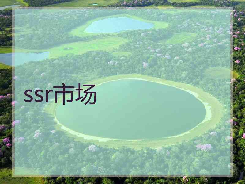 ssr市场