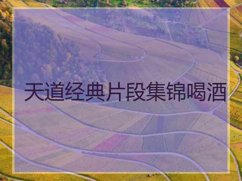天道经典片段集锦喝酒