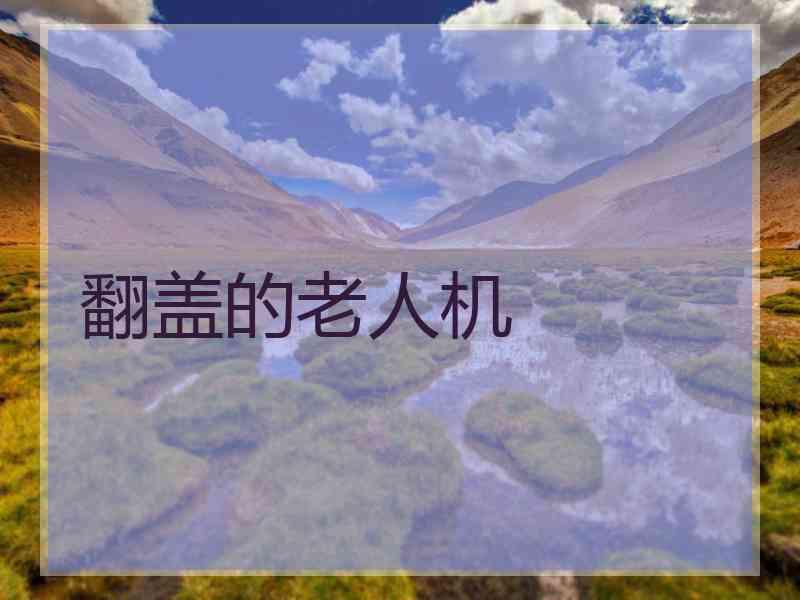 翻盖的老人机