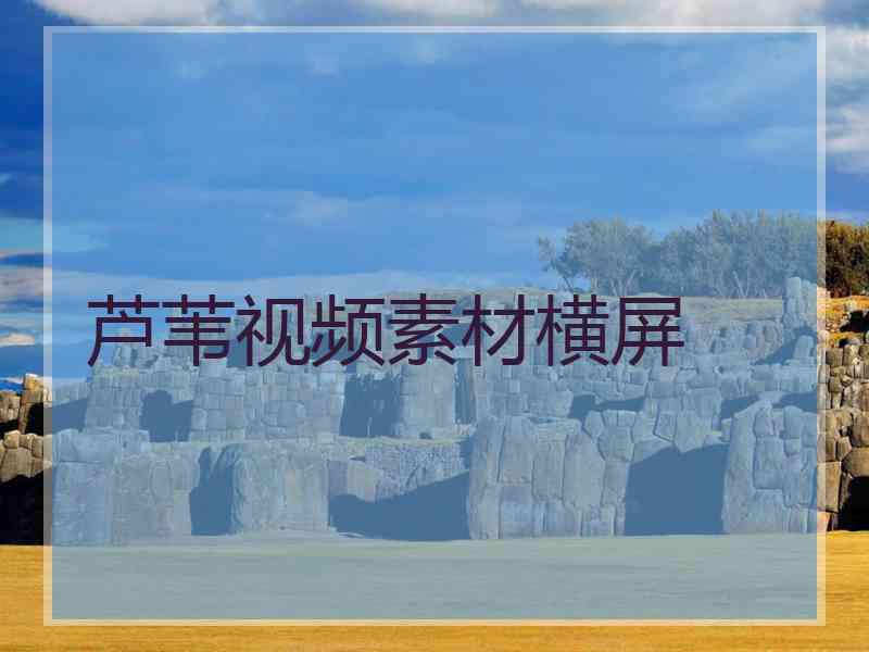 芦苇视频素材横屏