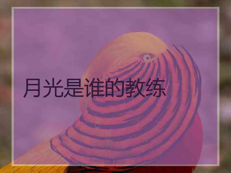 月光是谁的教练