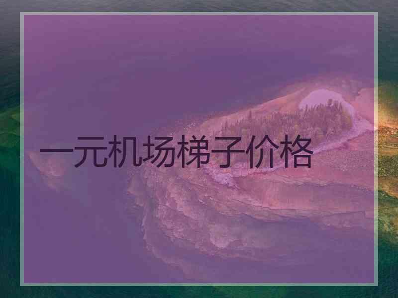 一元机场梯子价格
