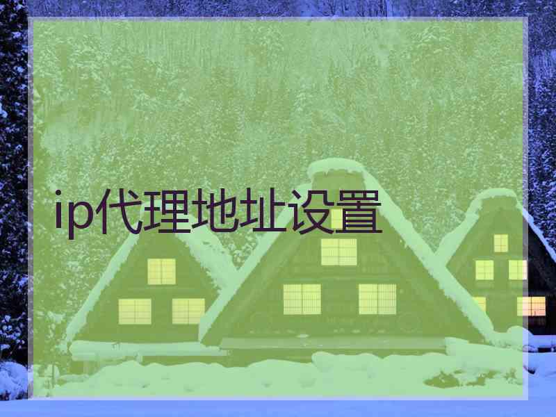 ip代理地址设置