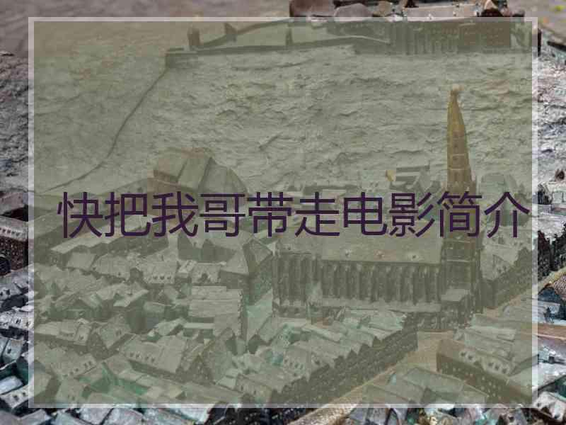 快把我哥带走电影简介