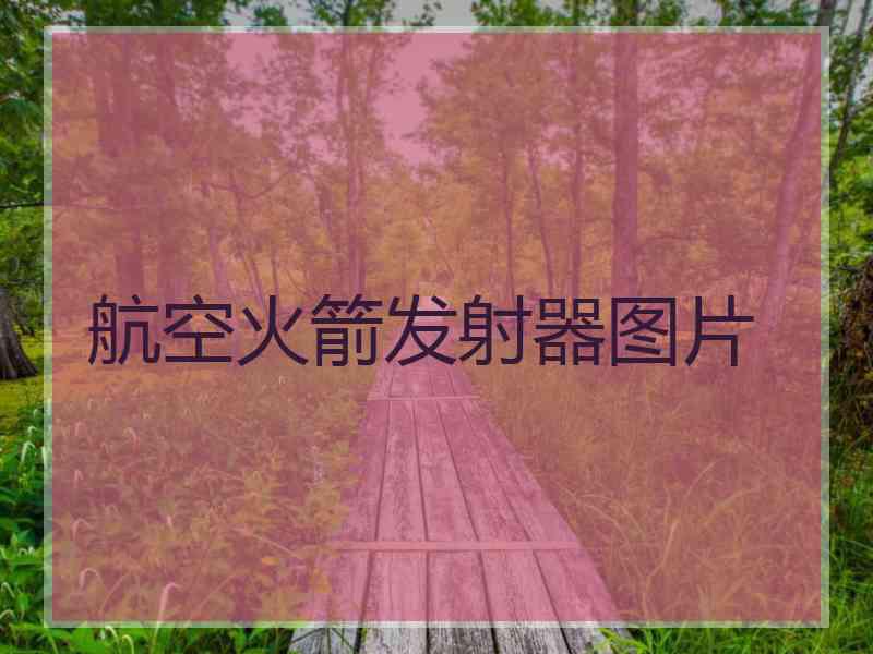 航空火箭发射器图片