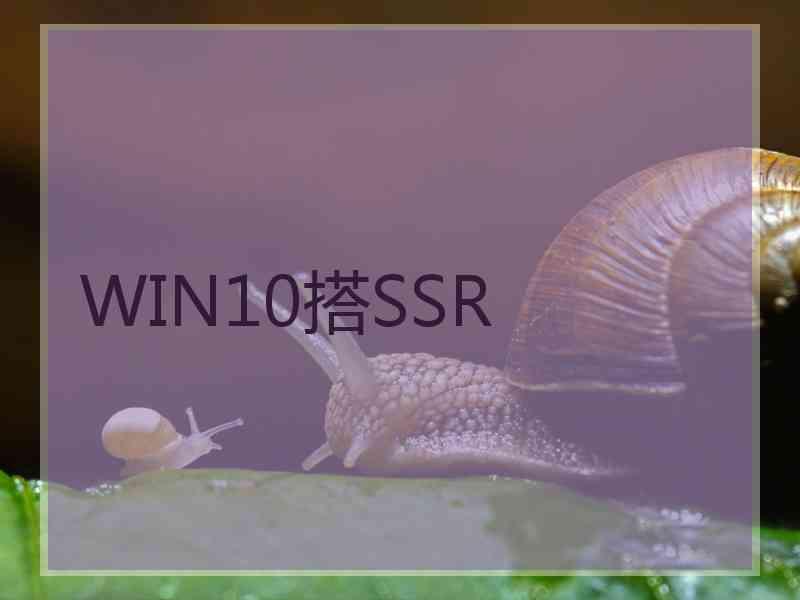 WIN10搭SSR