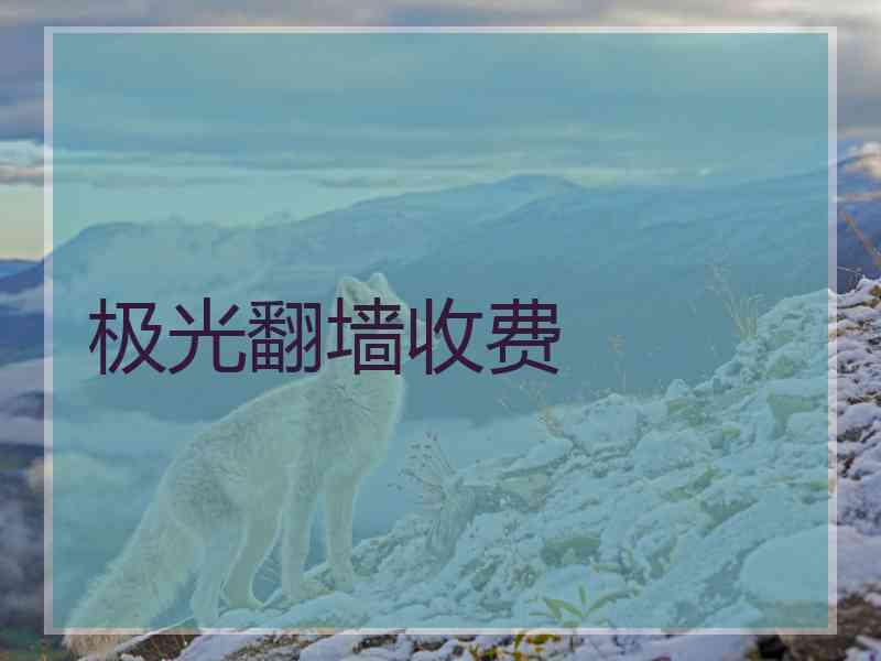 极光翻墙收费