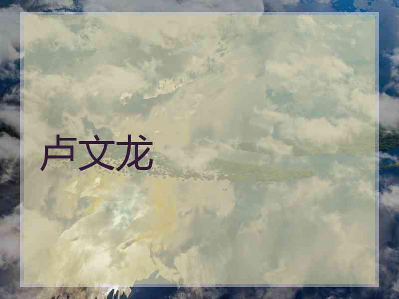 卢文龙