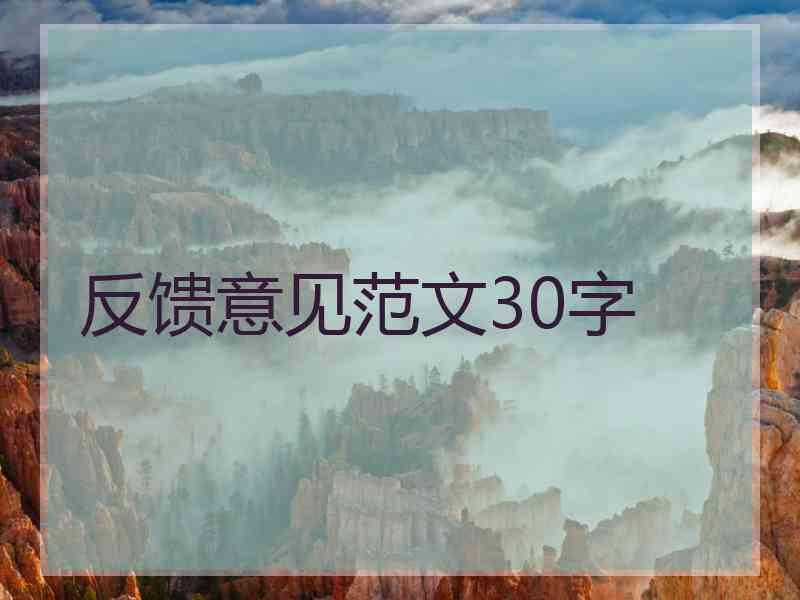 反馈意见范文30字