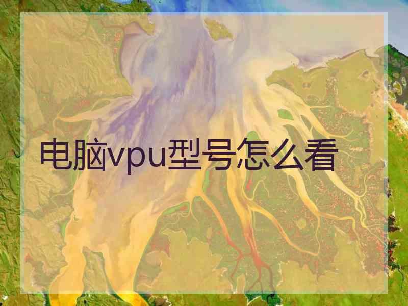 电脑vpu型号怎么看