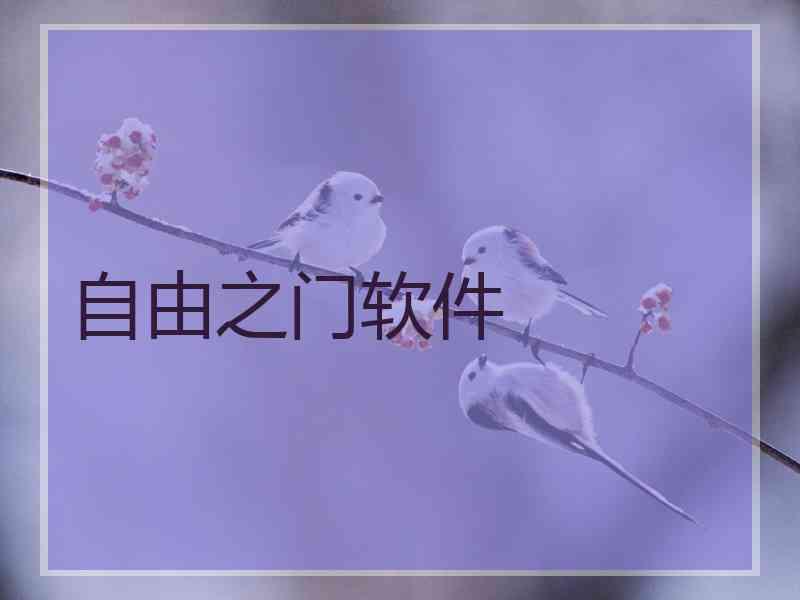 自由之门软件