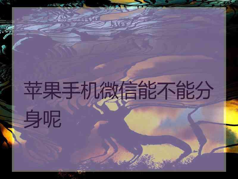 苹果手机微信能不能分身呢