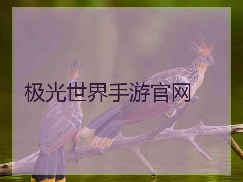 极光世界手游官网