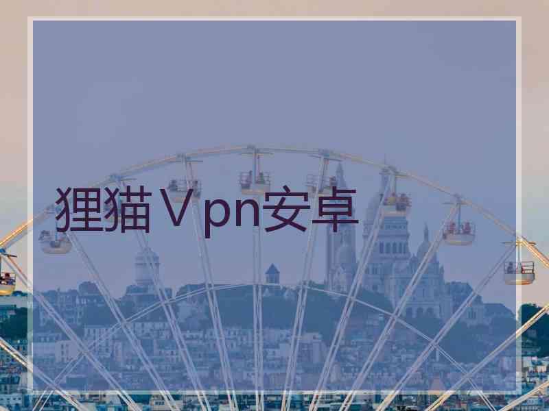 狸猫Ⅴpn安卓