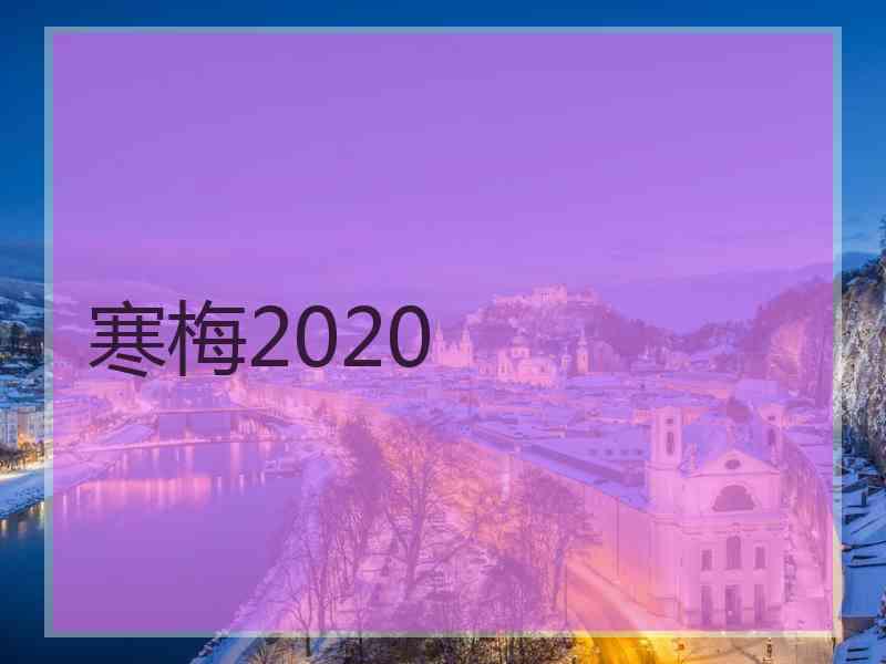 寒梅2020