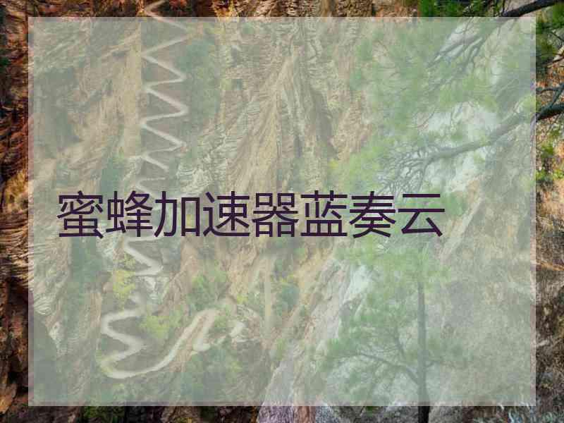 蜜蜂加速器蓝奏云
