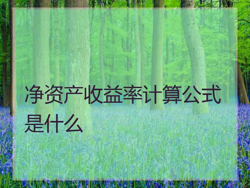 净资产收益率计算公式是什么