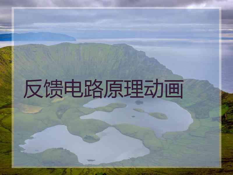 反馈电路原理动画