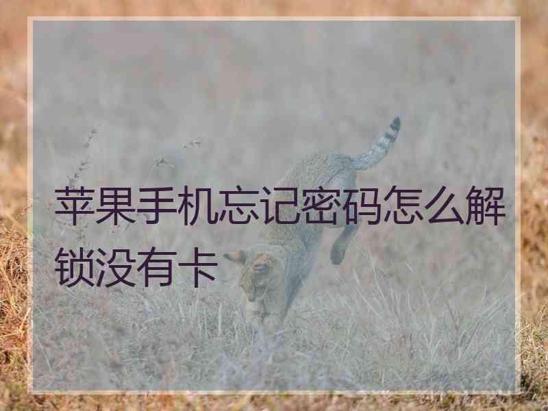 苹果手机忘记密码怎么解锁没有卡