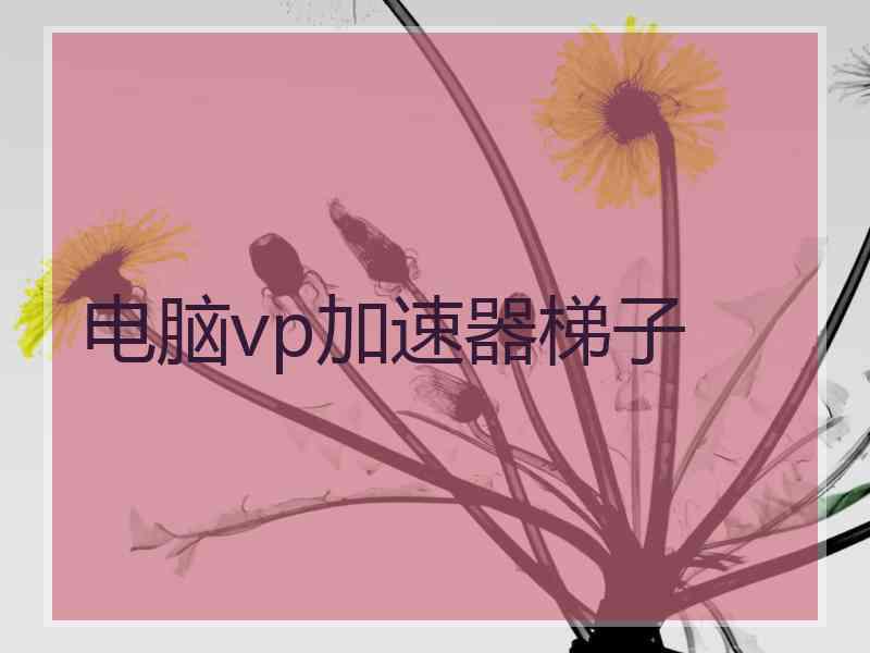电脑vp加速器梯子