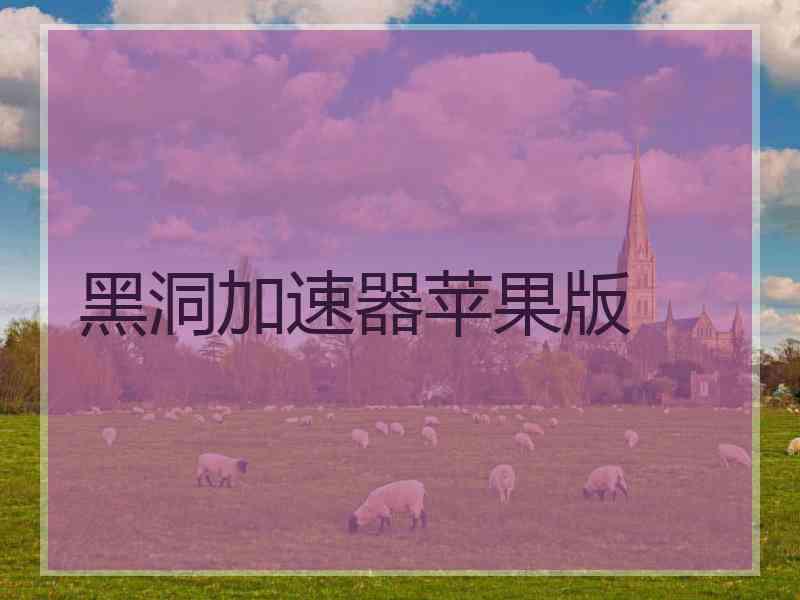黑洞加速器苹果版