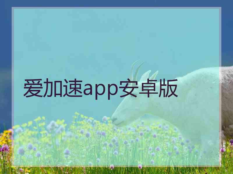 爱加速app安卓版