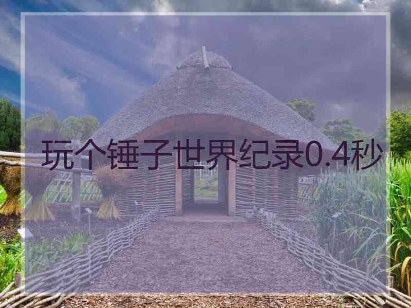 玩个锤子世界纪录0.4秒