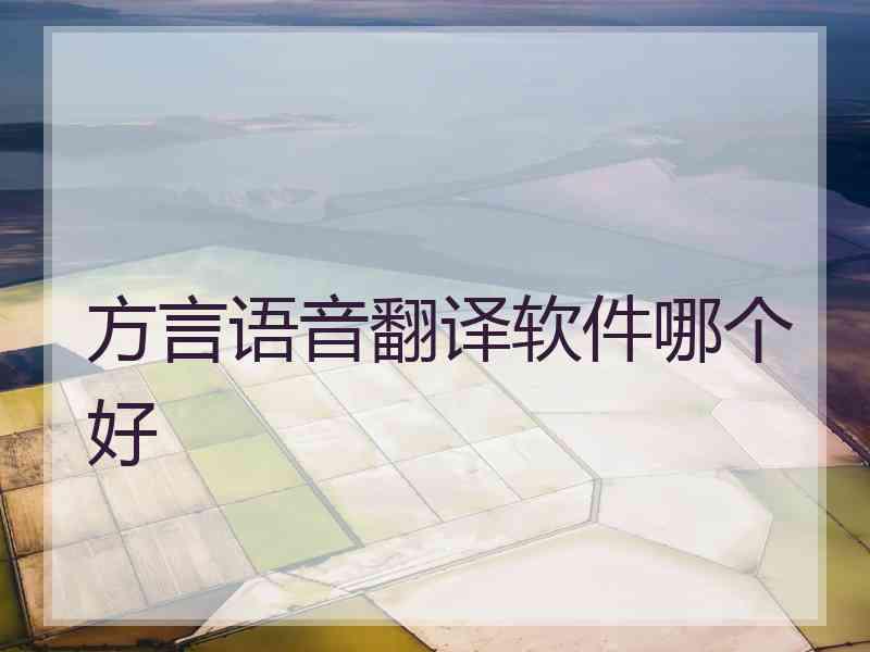 方言语音翻译软件哪个好