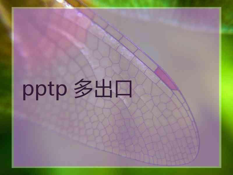 pptp 多出口