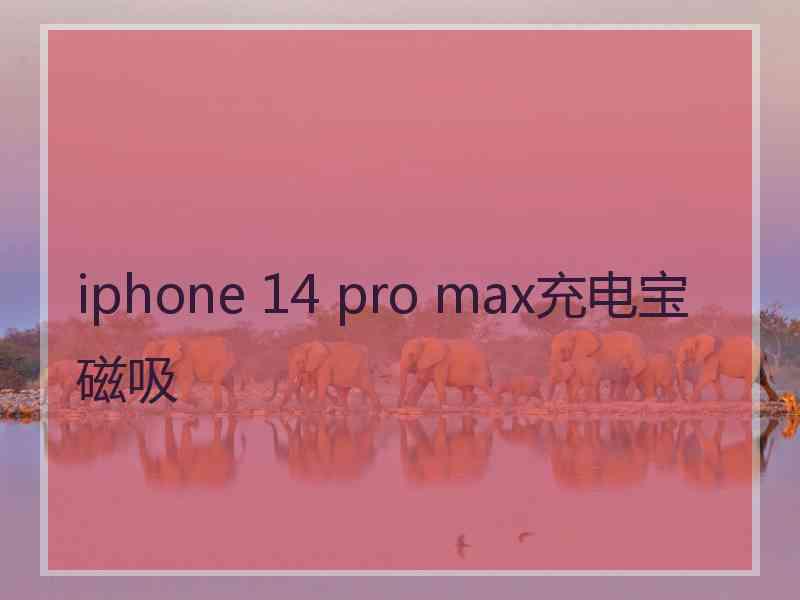iphone 14 pro max充电宝磁吸