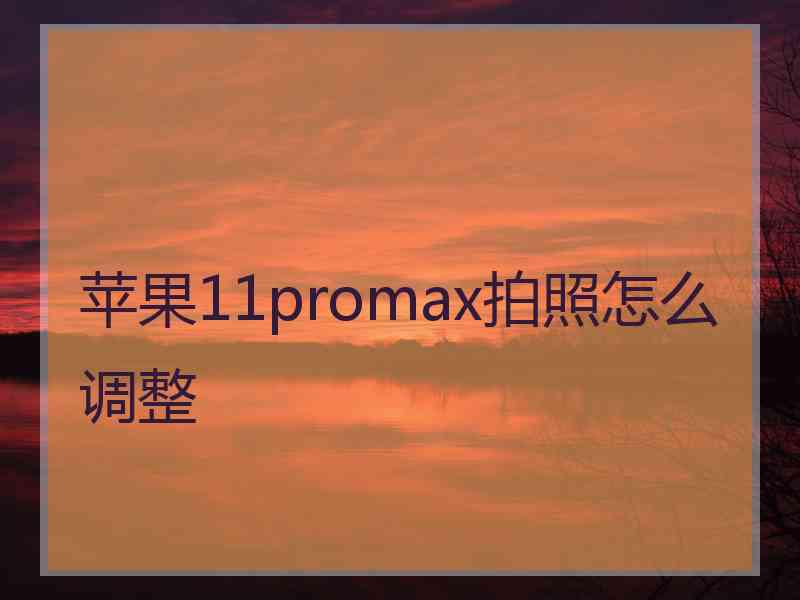 苹果11promax拍照怎么调整
