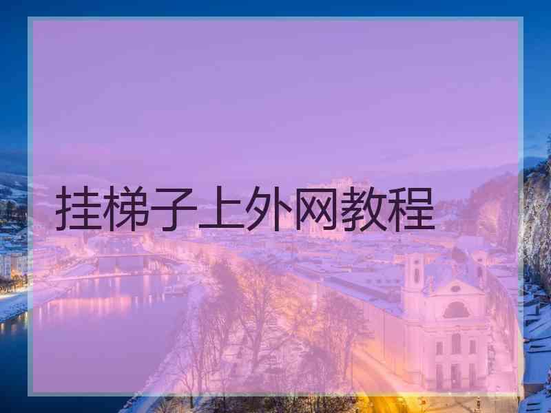 挂梯子上外网教程