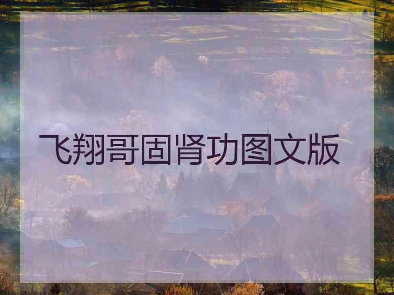 飞翔哥固肾功图文版
