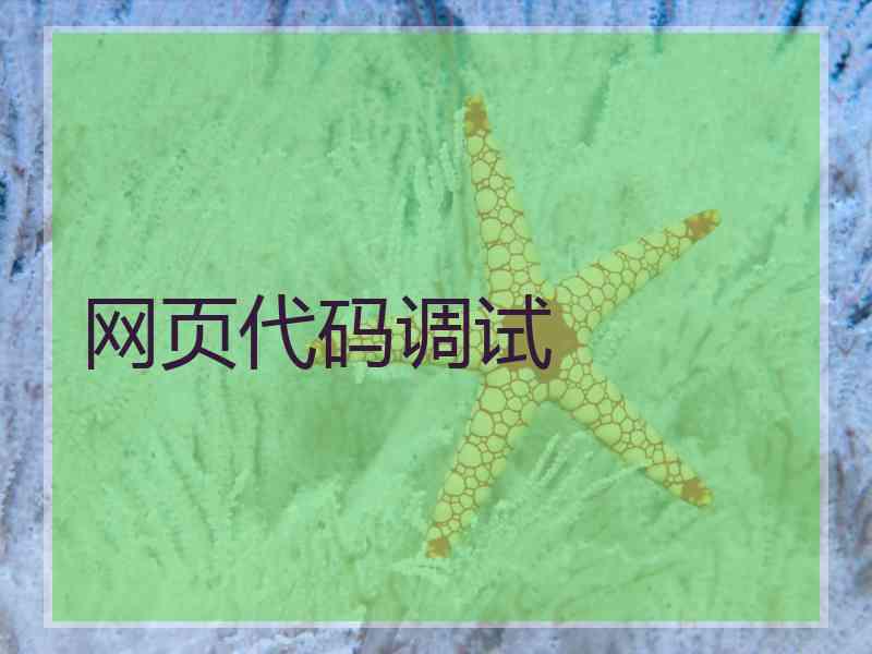 网页代码调试