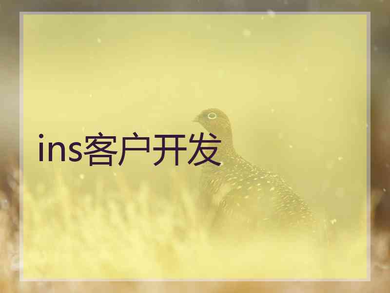ins客户开发