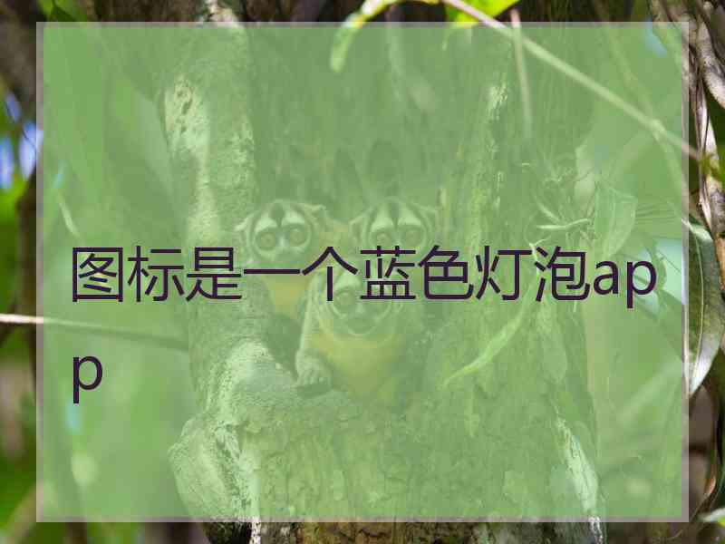 图标是一个蓝色灯泡app