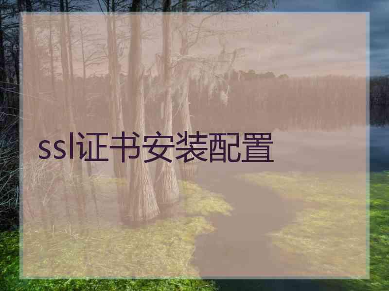 ssl证书安装配置