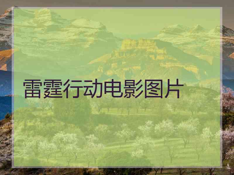 雷霆行动电影图片