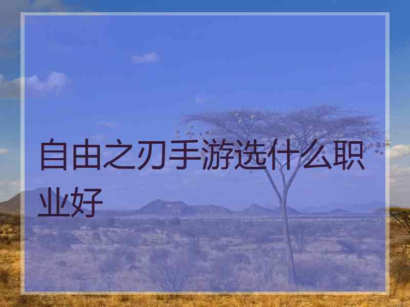 自由之刃手游选什么职业好