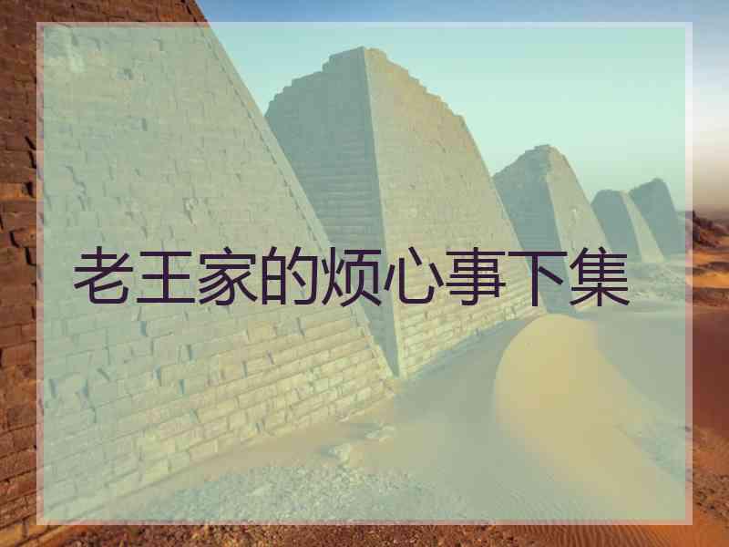 老王家的烦心事下集