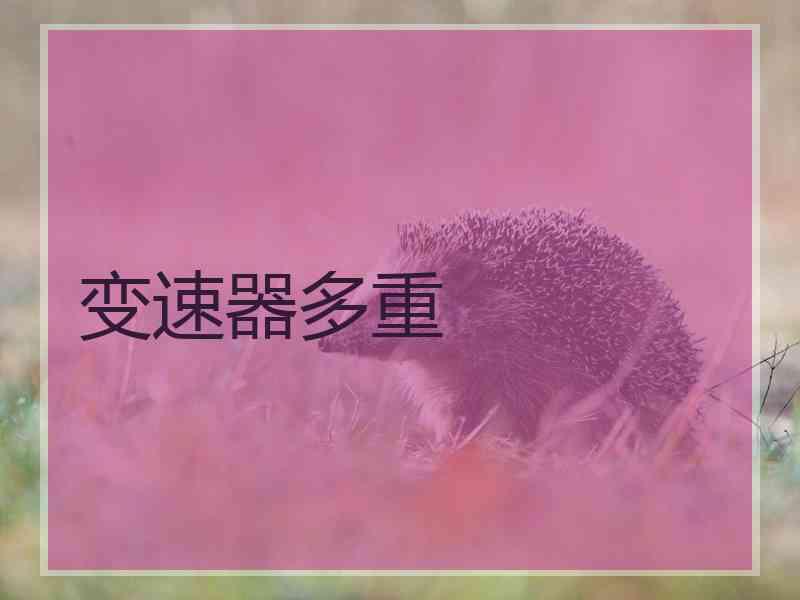 变速器多重