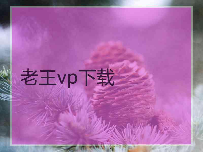 老王vp下载