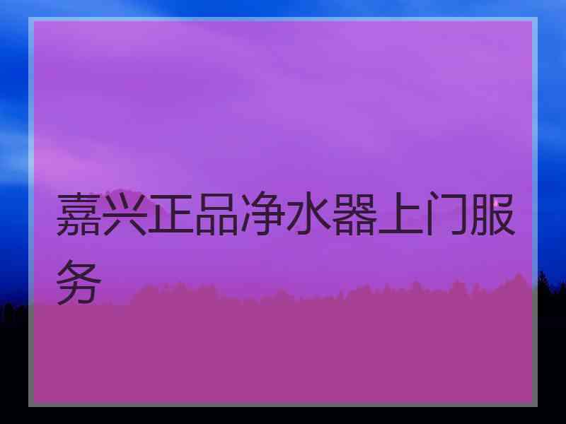 嘉兴正品净水器上门服务