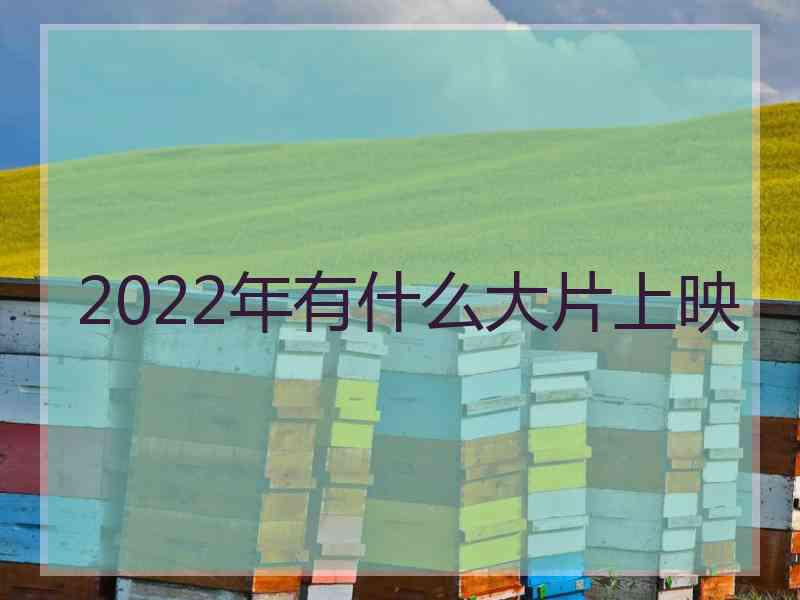 2022年有什么大片上映