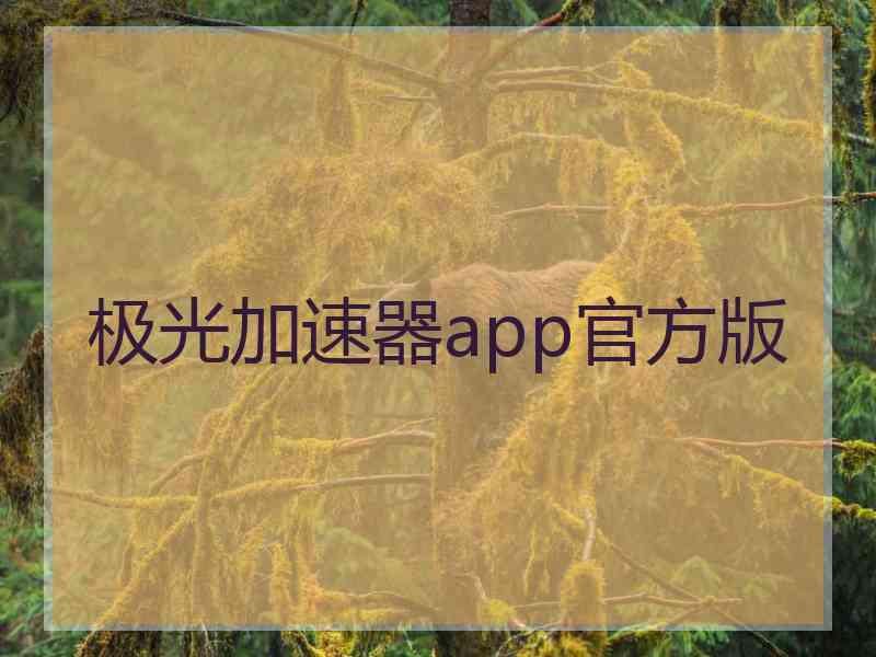 极光加速器app官方版