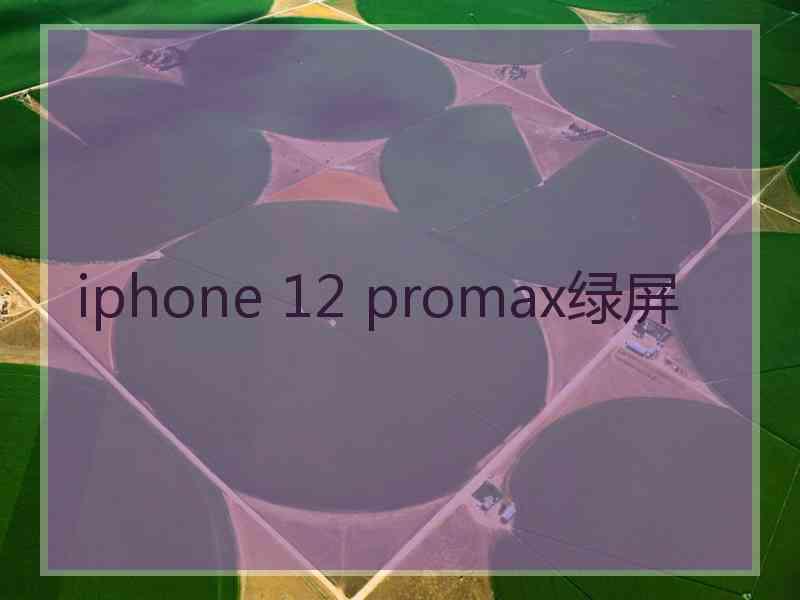 iphone 12 promax绿屏
