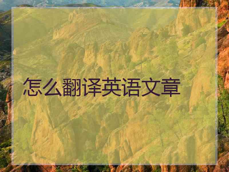 怎么翻译英语文章
