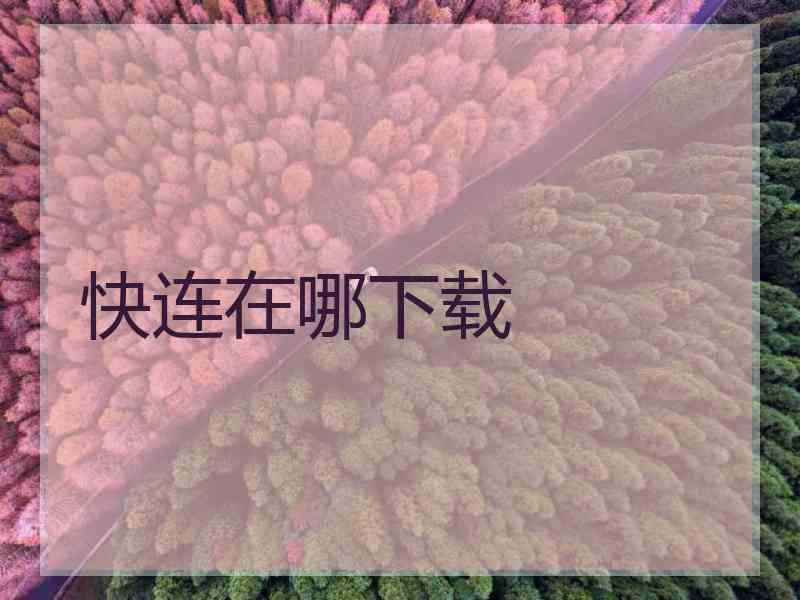 快连在哪下载