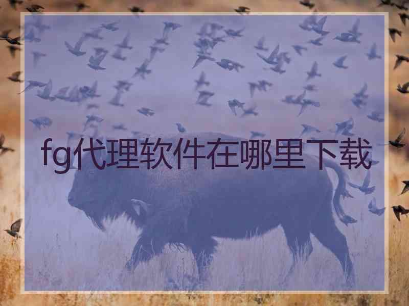 fg代理软件在哪里下载